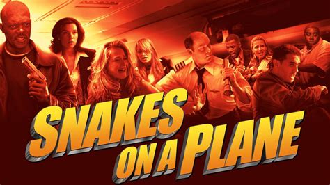 Snakes on a Plane! A high-stakes thriller featuring an FBI agent and a deadly infestation of vipers!